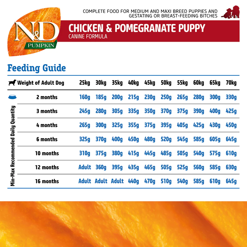 Feeding_Guidelines_Pumpkin_CP_Puppy_Med_Maxi