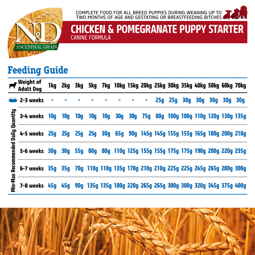 ND-Ancestral-Grain-2.5kg-Puppy-starter-CHICKEN-_-SPELT-6