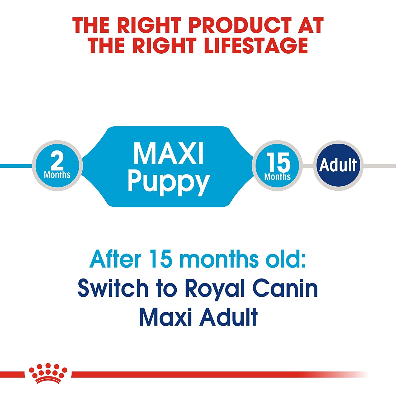 Royal Canin Dry Dog Food Maxi Puppy-3