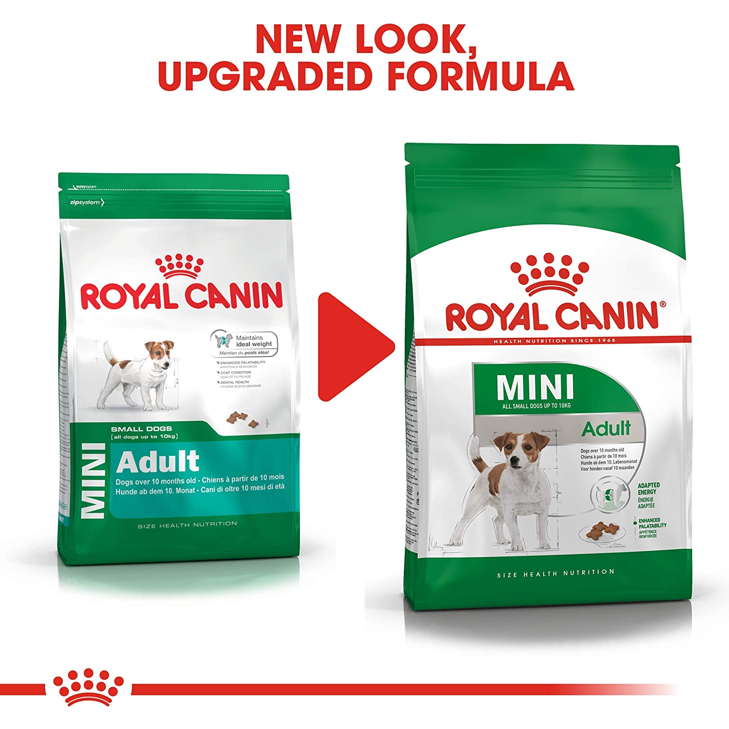 Royal-Canin-Mini-Breed—Adult-Dry-Dog-Food-7